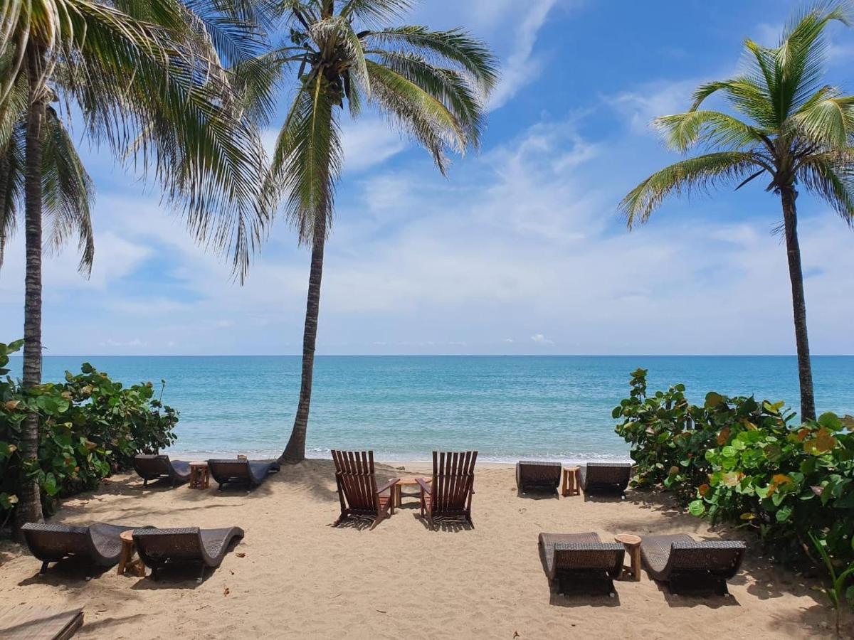פאלומינו Makao Beach Hotel מראה חיצוני תמונה