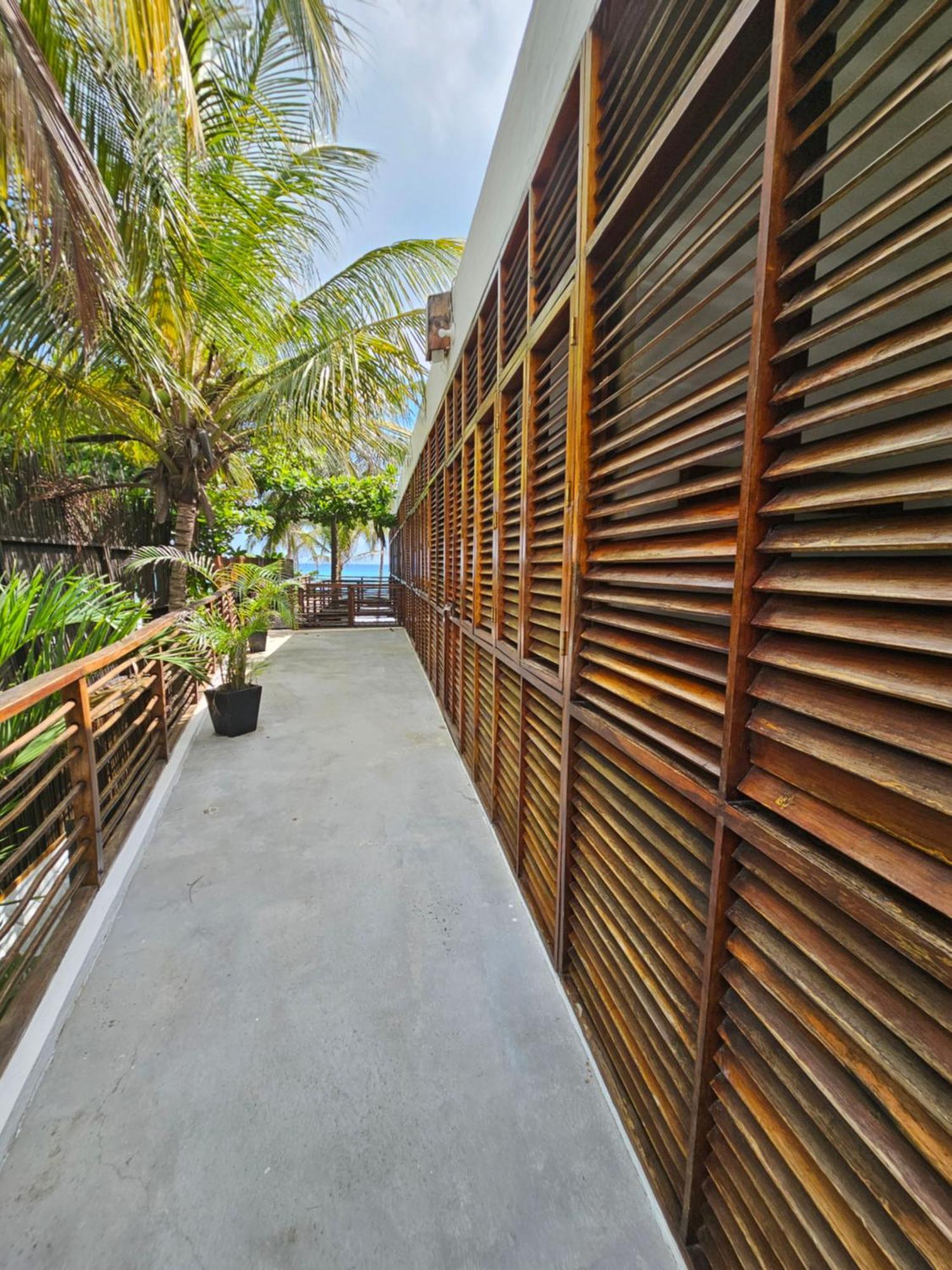 פאלומינו Makao Beach Hotel מראה חיצוני תמונה